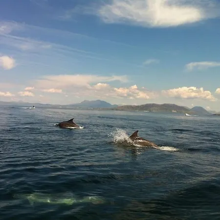 Waterside Cottage, Cashel * Canower