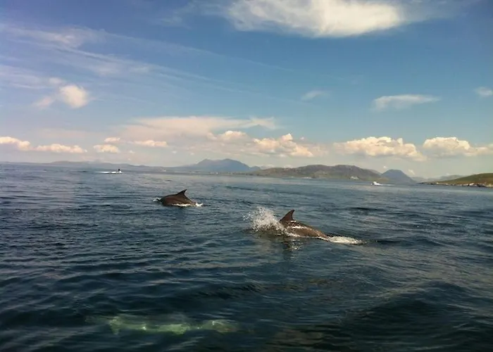 Waterside Cottage, Cashel * Canower
